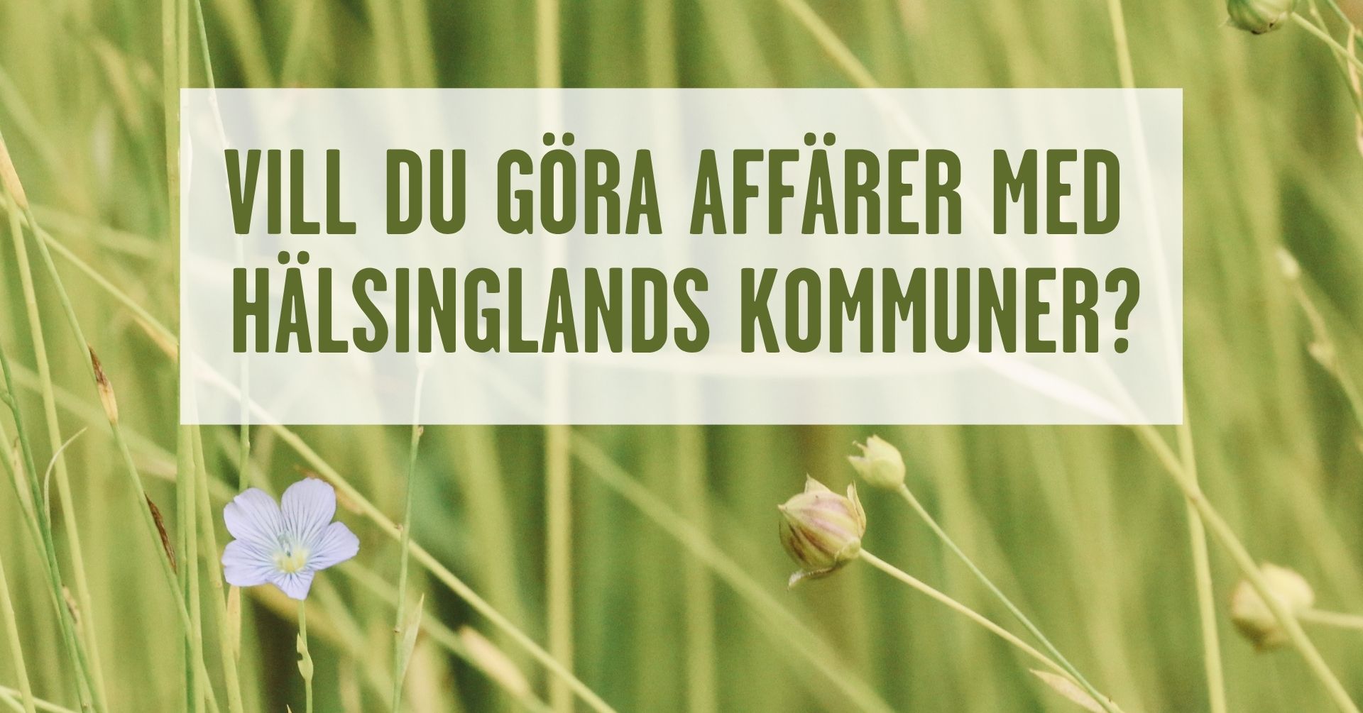 Bild tillhörande: Vill du göra affärer med Hälsinglands kommuner?
